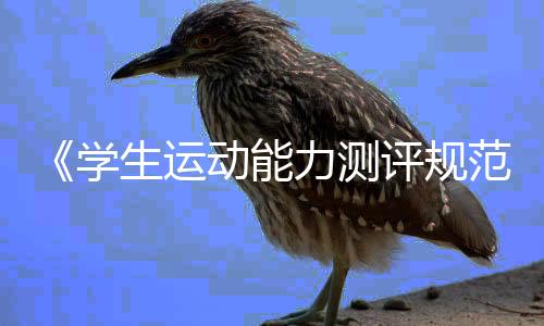 《學(xué)生運動能力測評規(guī)范》國家標(biāo)準(zhǔn)如何重塑體育課？