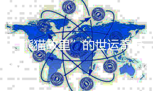 “熊貓故里”的世運奇緣：像愛大熊貓一樣愛中國的一切