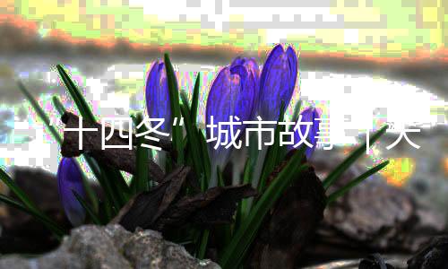 “十四冬”城市故事｜天天都有那達慕，這里是陳巴爾虎旗