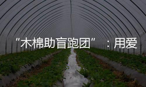 “木棉助盲跑團(tuán)”：用愛陪視障跑者奔赴漢馬賽場