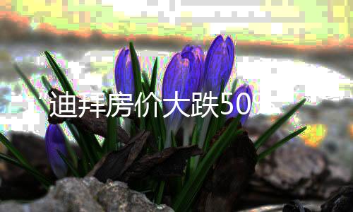 “迪拜房價大跌50%”？不屬實！部分中東家族辦公室已火速赴港，全球投資者的置業邏輯變了？