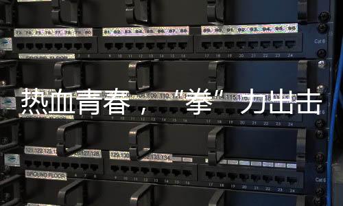 熱血青春，“拳”力出擊 江泰天宇功夫集市青少年搏擊擂臺賽圓滿落幕