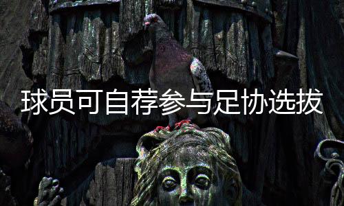 球員可自薦參與足協選拔 中國足協球員自薦系統今日上線