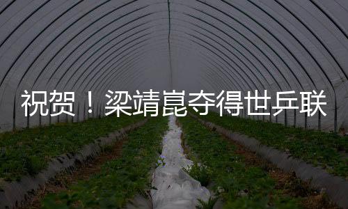 祝賀！梁靖崑奪得世乒聯冠軍賽韓國站男單冠軍