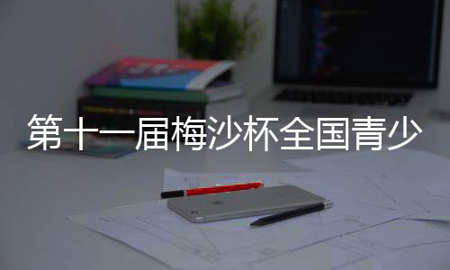 第十一屆梅沙杯全國青少年帆船聯賽廈門站開賽