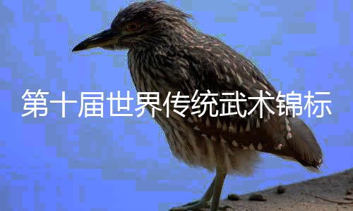第十屆世界傳統武術錦標賽在峨眉山開幕 李連杰吳京交接形象大使