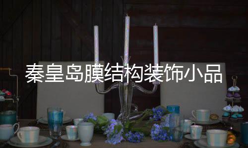 偉晴大健康呼吸機***安裝
