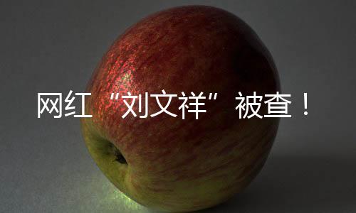 網紅“劉文祥”被查！