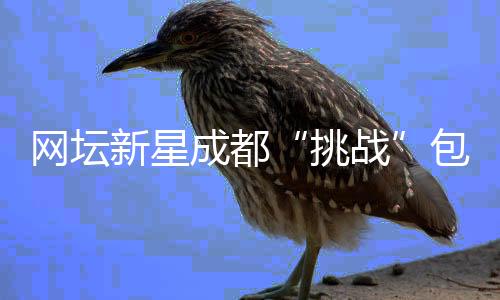 網壇新星成都“挑戰”包餃子 沉浸式體驗中國文化