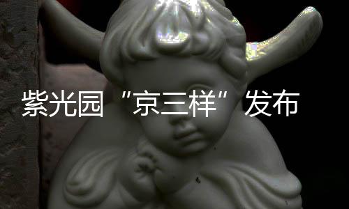 紫光園“京三樣”發布 農業中關村食品營養谷打造京味傳承新范式
