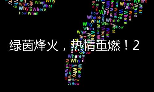 綠茵烽火，熱情重燃！2024中國網(wǎng)絡(luò)媒體足球精英賽開幕