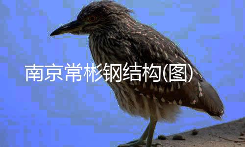 南京常彬鋼結構(圖)