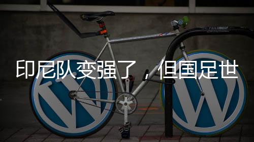 印尼隊變強了，但國足世預賽有機會——專訪北京國安荷蘭籍外教杰森