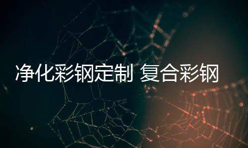 分體式太陽能路燈定制