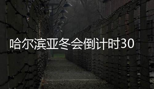 哈爾濱亞冬會(huì)倒計(jì)時(shí)30天:冰雪同夢(mèng),亞洲同心