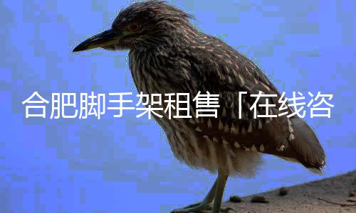 史托斯軟鏡維修換吸引座