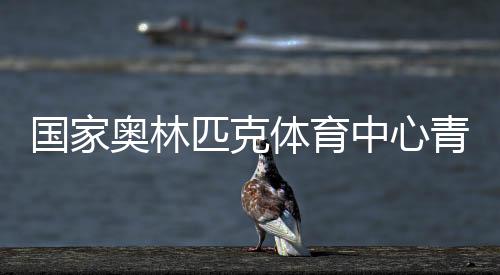 國家奧林匹克體育中心青年支教團隊來桑植縣開展幫扶支教活動