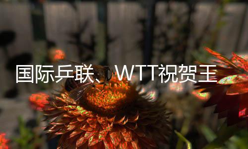 國際乒聯、WTT祝賀王勵勤當選中國乒協主席 向劉國梁致謝