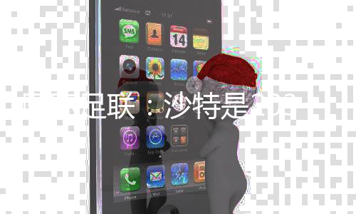 國際足聯：沙特是2034年足球世界杯唯一申辦方