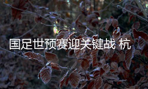 國足世預賽迎關鍵戰 杭州主場花式“寵”球迷