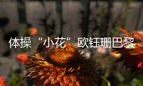 體操“小花”歐鈺珊巴黎留憾 母親：她從沒打過退堂鼓