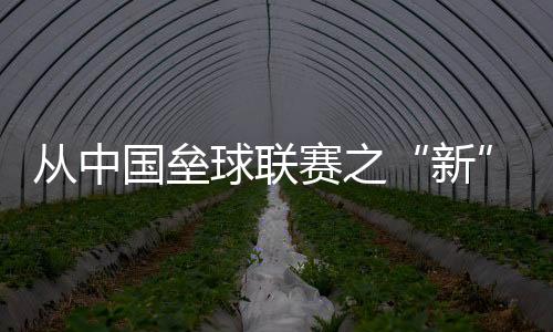 從中國壘球聯賽之“新” 看國內壘球發展沉淀之“果”