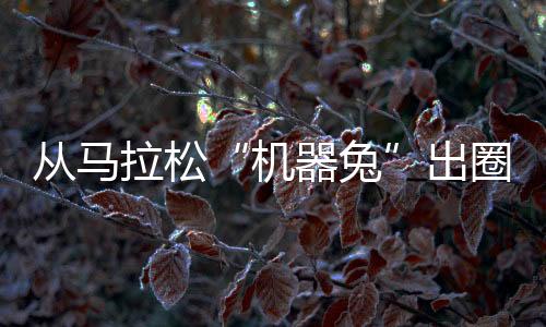 從馬拉松“機器兔”出圈 洞見中國體育科技新活力