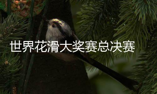 世界花滑大獎賽總決賽 張嘉軒/黃一航獲雙人滑冠軍