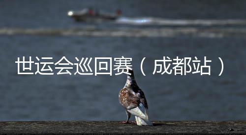 世運會巡回賽（成都站）收官 IWGA主席：成都已經準備好了