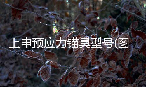 輝冠照明光線柔和(圖)