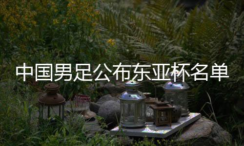 中國男足公布東亞杯名單 新周期顯現年輕化進程