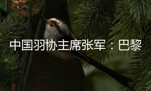 中國羽協主席張軍：巴黎奧運會爭金奪銀更有信心
