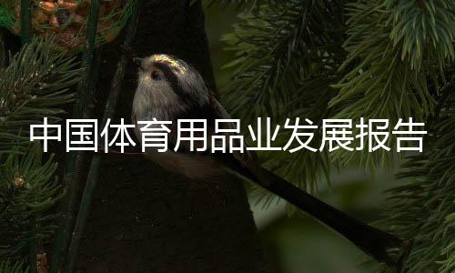 中國體育用品業發展報告：行業展現較強經濟韌性