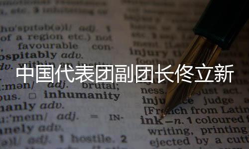 中國代表團副團長佟立新：運動成績和精神文明雙豐收