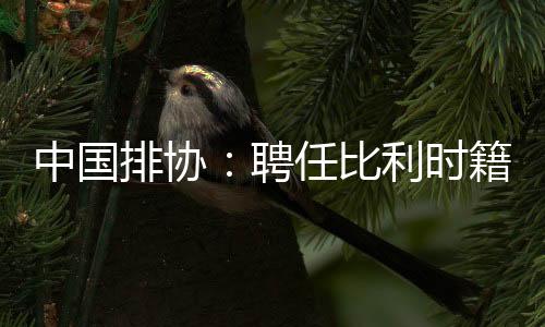 中國(guó)排協(xié)：聘任比利時(shí)籍教練維塔爾·海寧為中國(guó)男排主教練