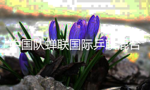 中國隊蟬聯國際乒聯混合團體世界杯冠軍