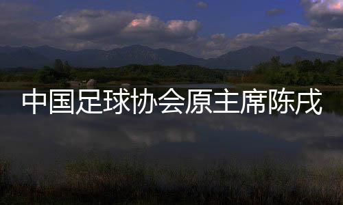 中國(guó)足球協(xié)會(huì)原主席陳戌源受賄一審被判無(wú)期徒刑