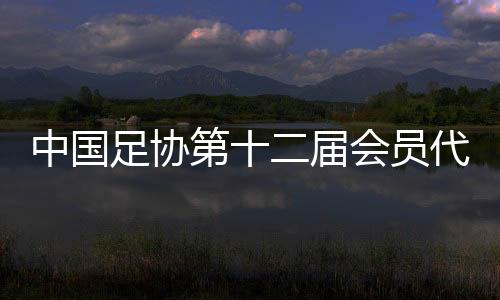 中國足協第十二屆會員代表大會第三次會議在京召開