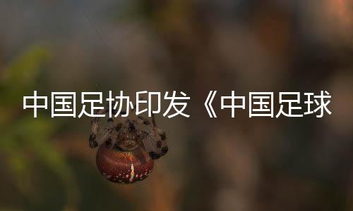 中國足協印發《中國足球協會誠信專員管理辦法（試行）》