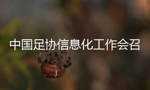 中國足協(xié)信息化工作會召開 努力實現(xiàn)“全國一盤棋”治理