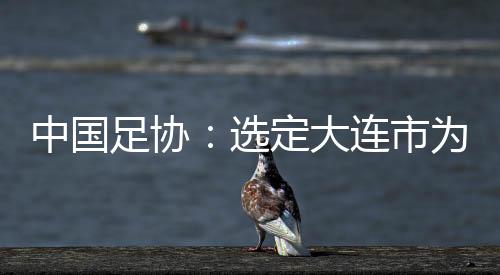 中國足協：選定大連市為中國隊世預賽9月份主場承辦城市