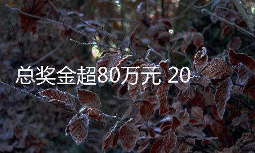 總獎金超80萬元 2025郴州“林丹杯”羽毛球公開賽7月?lián)]拍