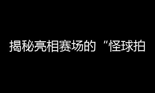 揭秘亮相賽場的“怪球拍”：瑞典選手的球拍為何是六邊形？