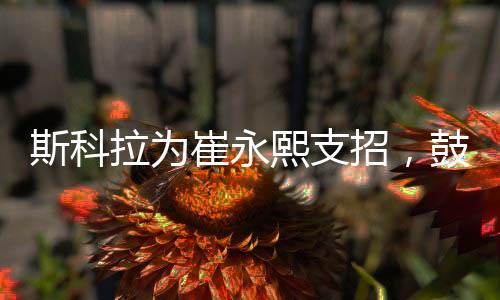 斯科拉為崔永熙支招，鼓勵(lì)更多年輕球員走出去