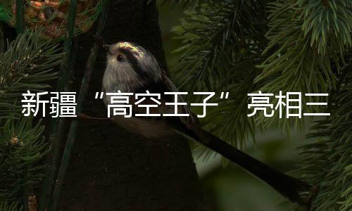 新疆“高空王子”亮相三亞 講述非遺“達瓦孜”的傳承故事