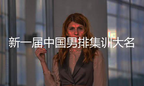 新一屆中國男排集訓大名單公布 比利時名帥海寧出任中國隊主教練