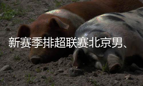 新賽季排超聯(lián)賽北京男、女排回歸主場光彩體育館