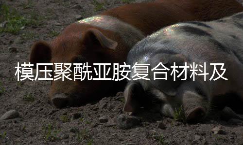 模壓聚酰亞胺復合材料及保持架