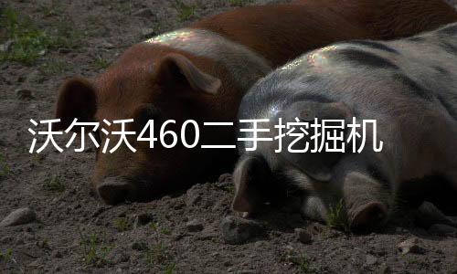 卓遠輸送設備(在線咨詢)