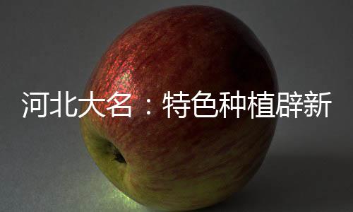 河北大名：特色種植辟新路 大棚鮮花助農增收